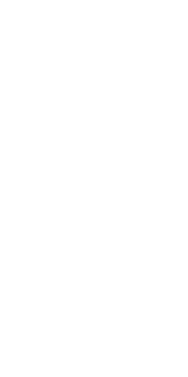 Logo | LEO Precision