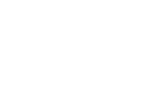 Logo | LEO Precision